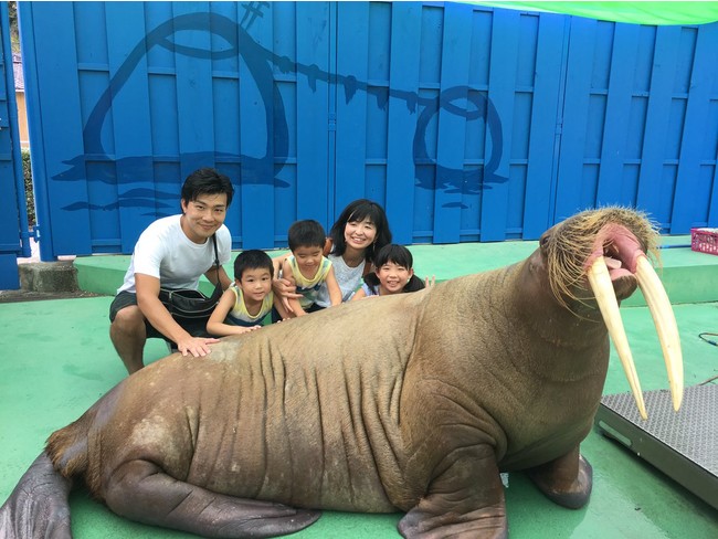 セイウチと触れ合う写真